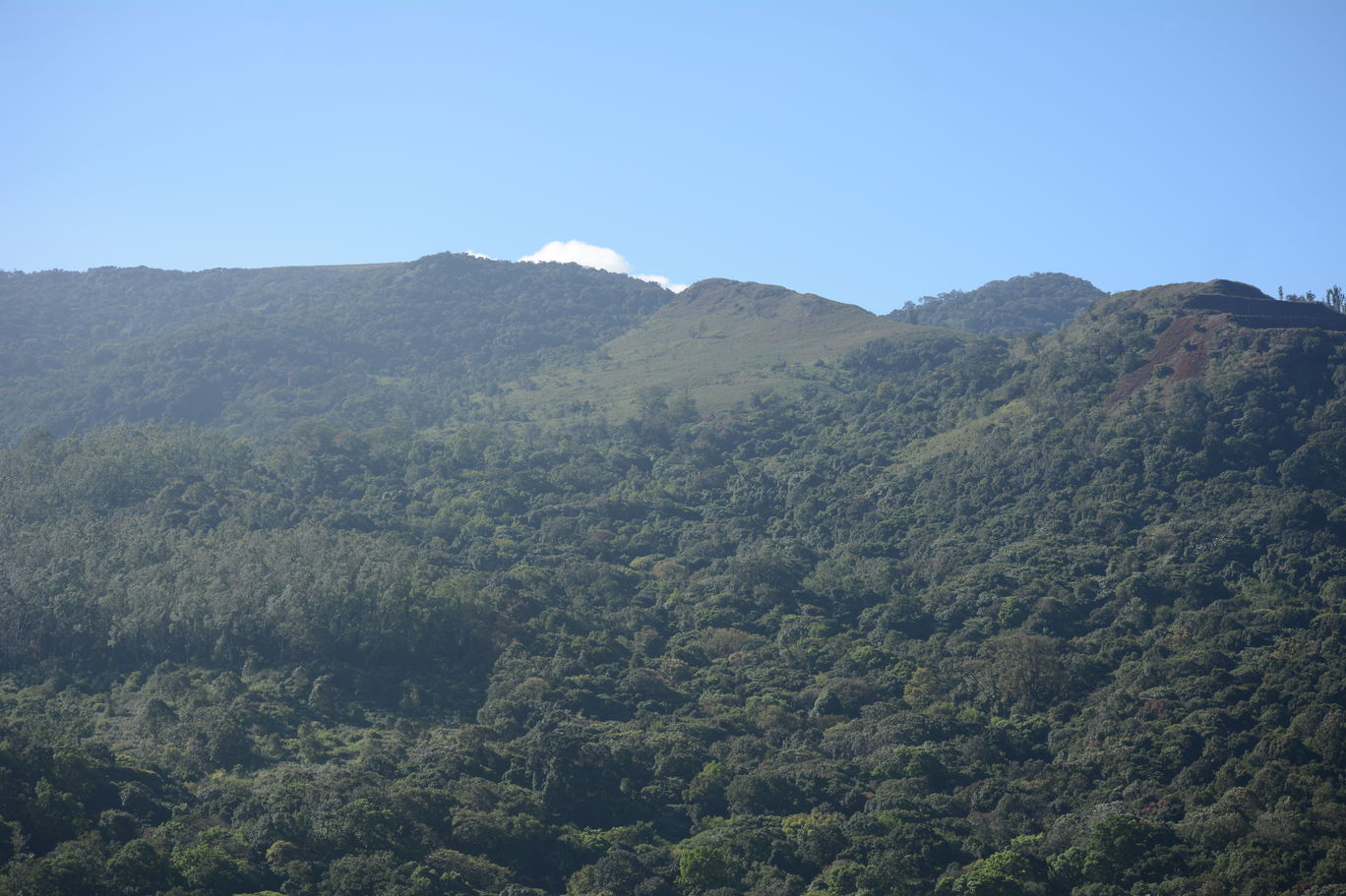 Photo of Z point trek - the trek which will pump up your adrenaline from A to Z By Mahesh Maddala