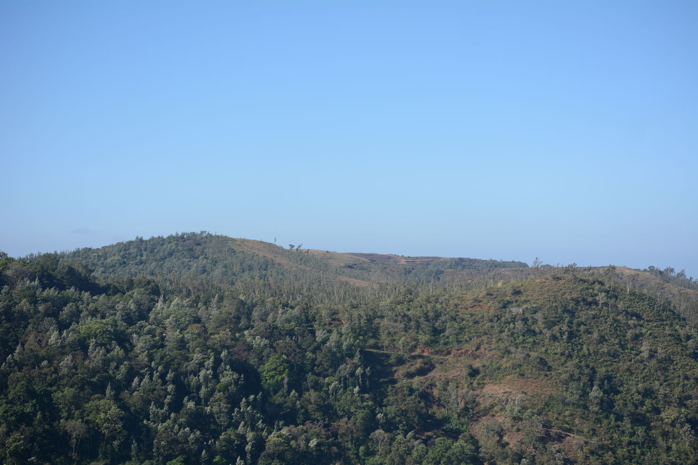 Photo of Z point trek - the trek which will pump up your adrenaline from A to Z By Mahesh Maddala
