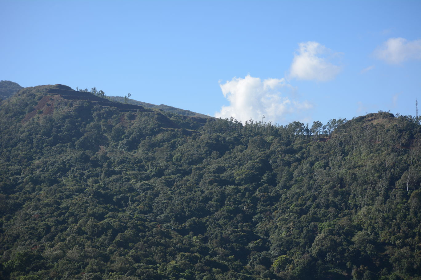 Photo of Z point trek - the trek which will pump up your adrenaline from A to Z By Mahesh Maddala