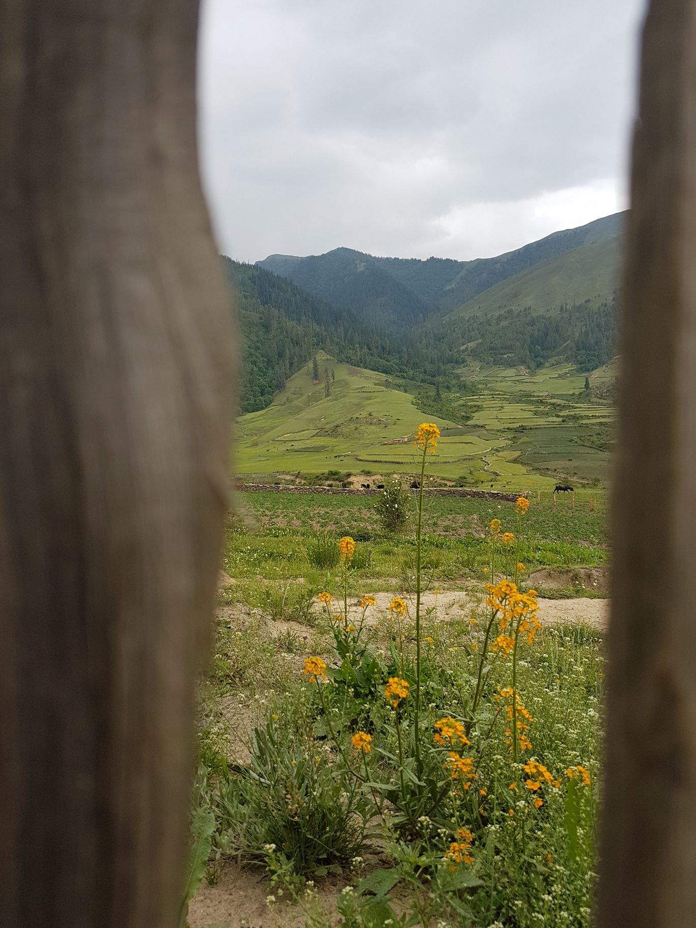 Photo of Exploring NEPAL Series: Darchula By Mahesh Maddala