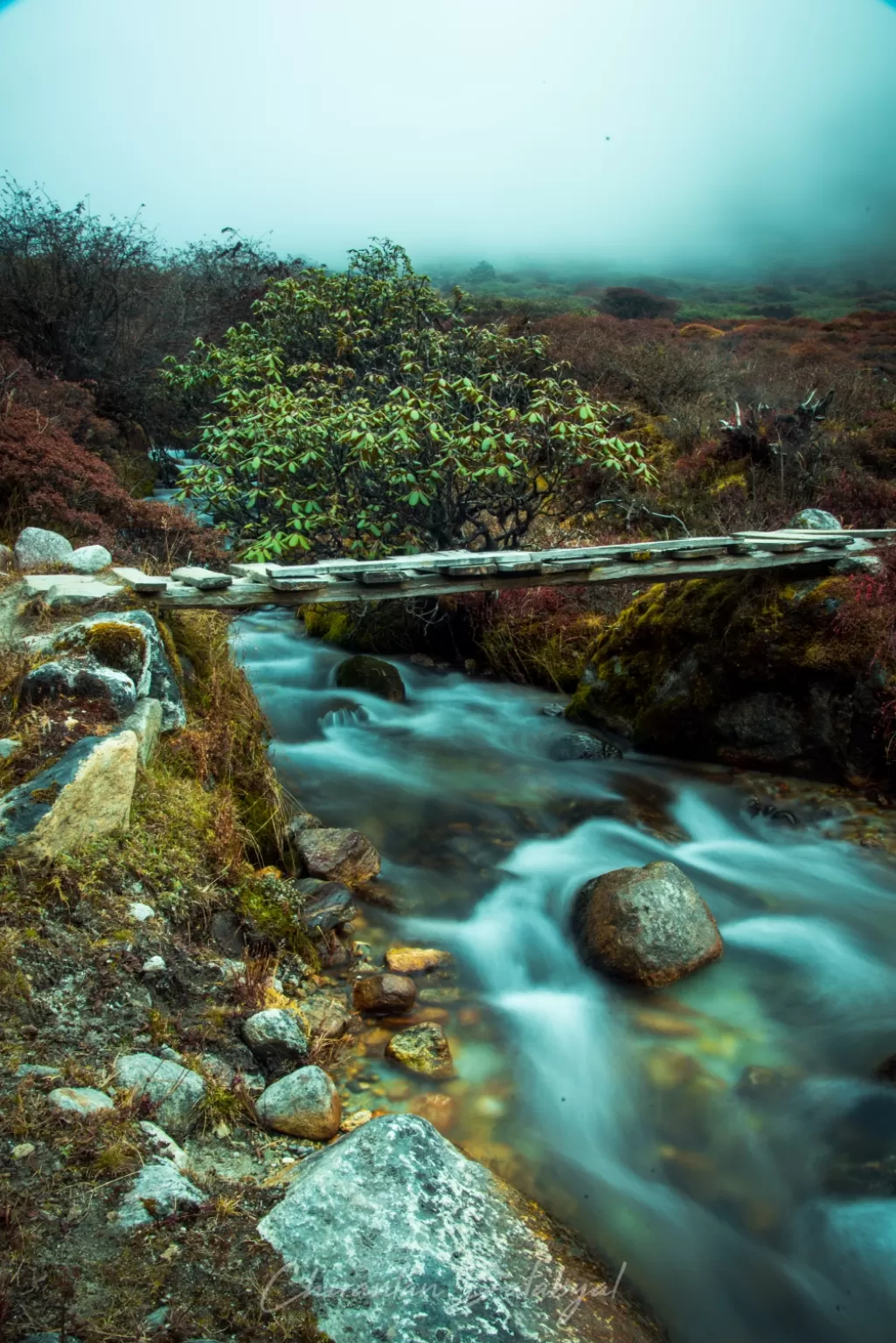 Photo of Goecha La By Chirantan Batabyal