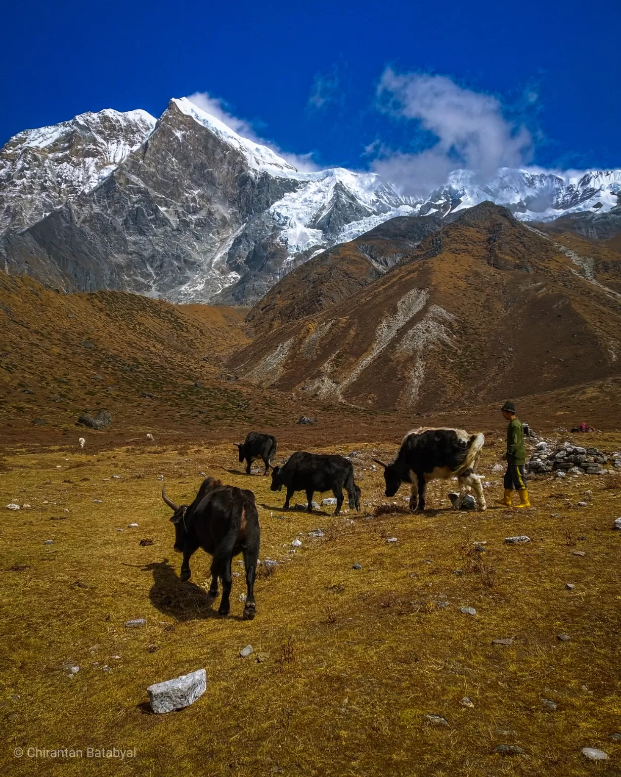 Photo of Goecha La By Chirantan Batabyal