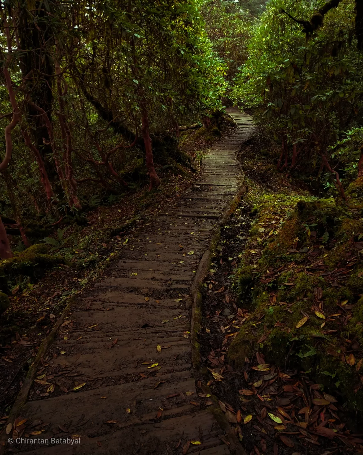 Photo of Goecha La By Chirantan Batabyal