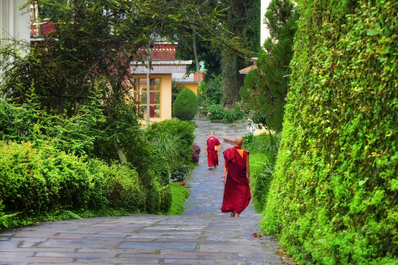 Photo of Kopan Monastery By Varsha Sikarwar