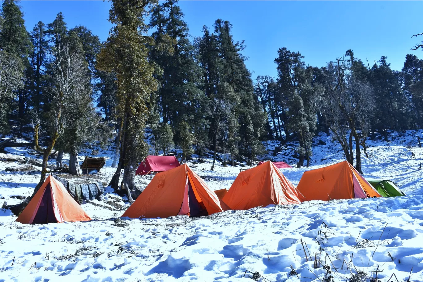 Photo of Kedarkantha By Mayank Jain