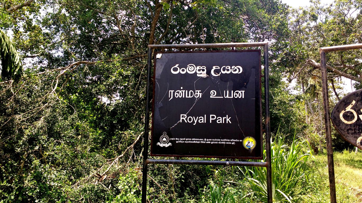 Ranmasu Uyana Anuradhapura Sri Lanka View Images Timing And