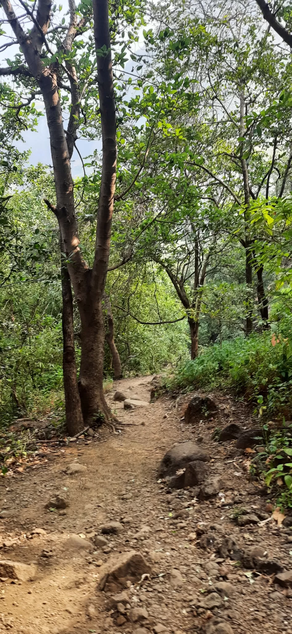 Photo of Devkund Waterfall By Heena J