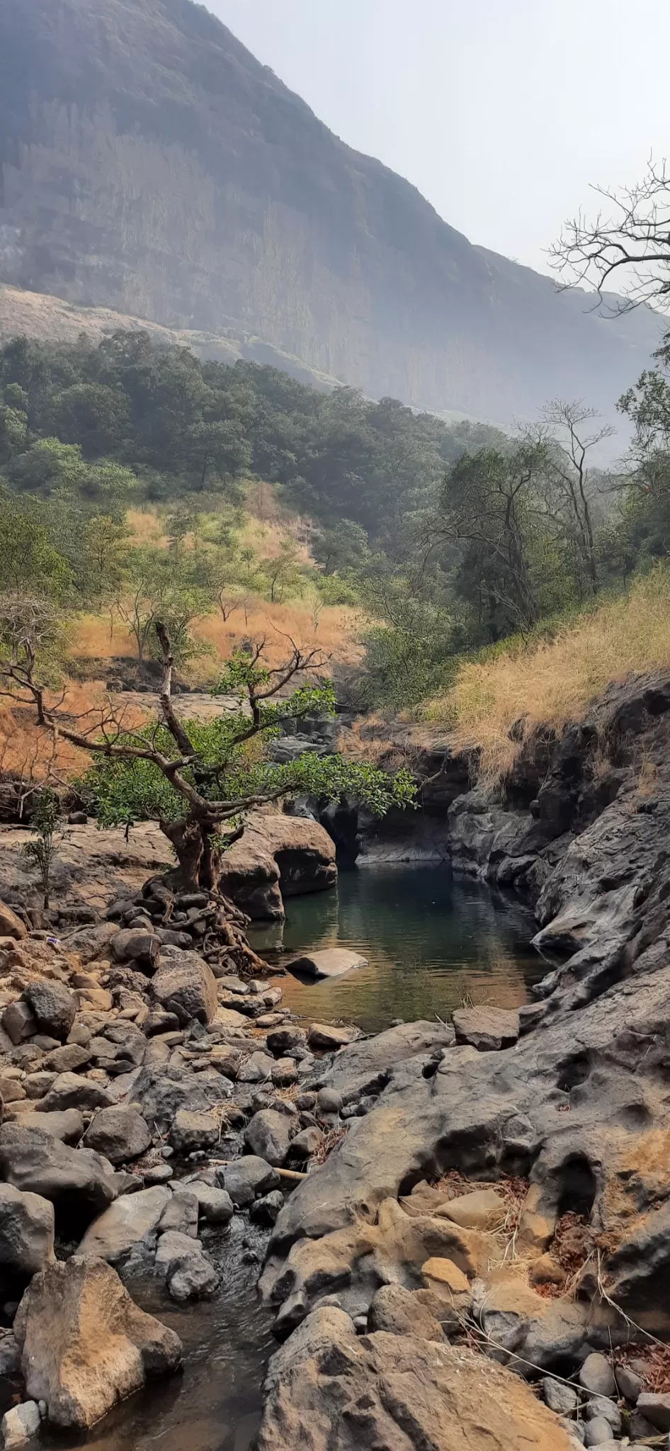 Photo of Devkund Waterfall By Heena J