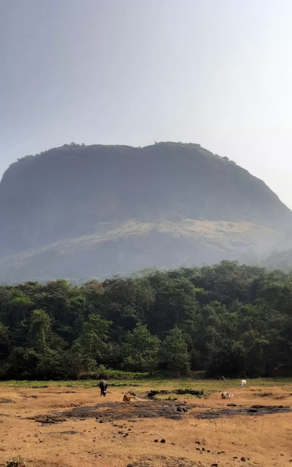 Photo of Devkund Waterfall By Heena J