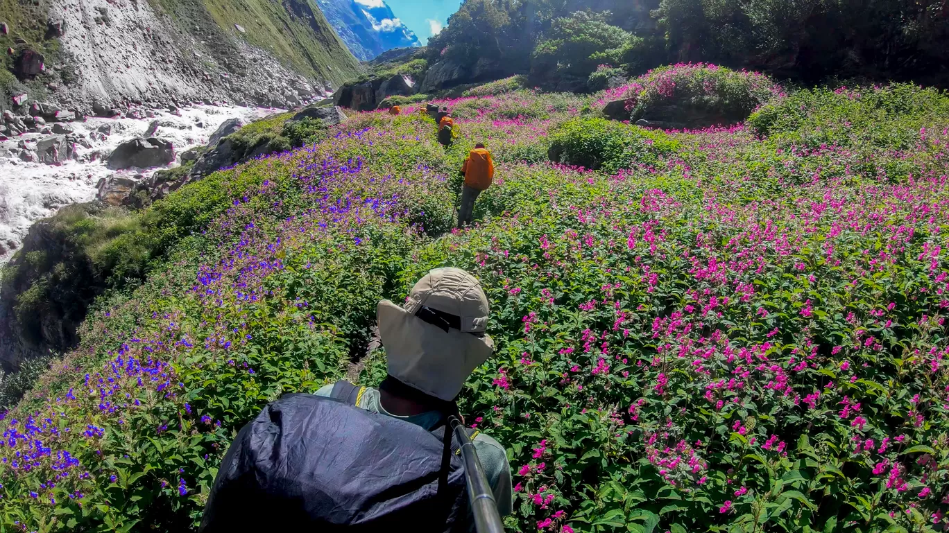 Photo of Himachal Pradesh By Mayur Kanade