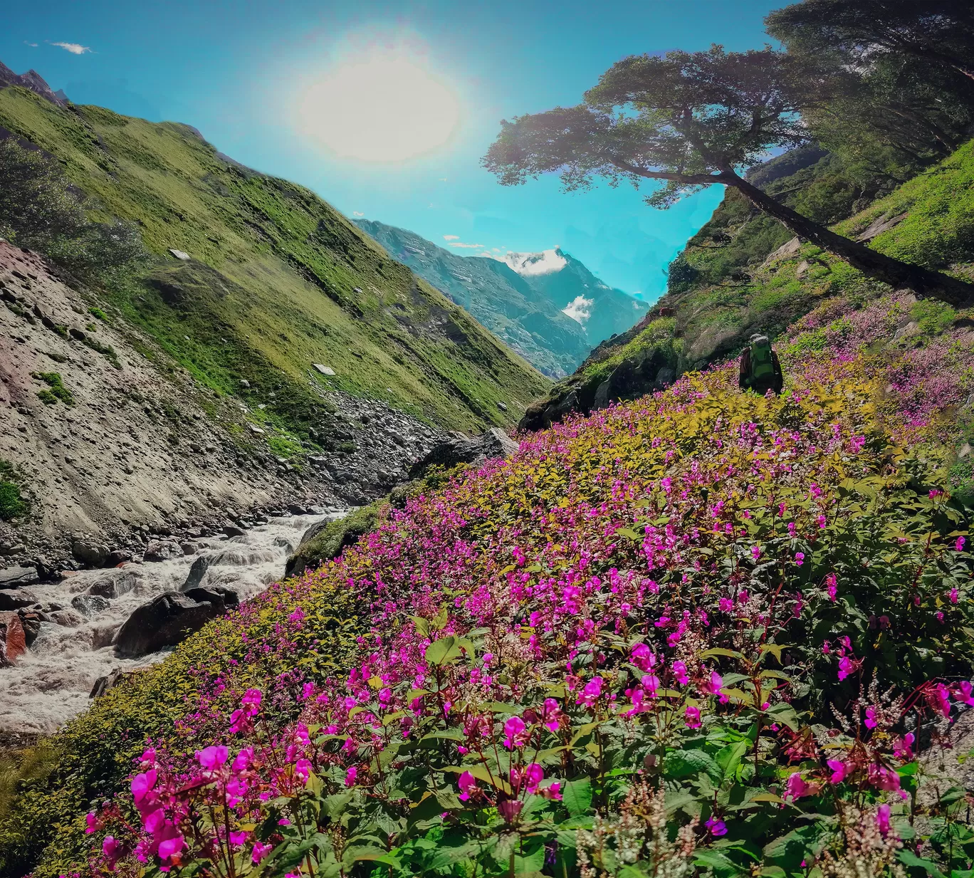 Photo of Himachal Pradesh By Mayur Kanade