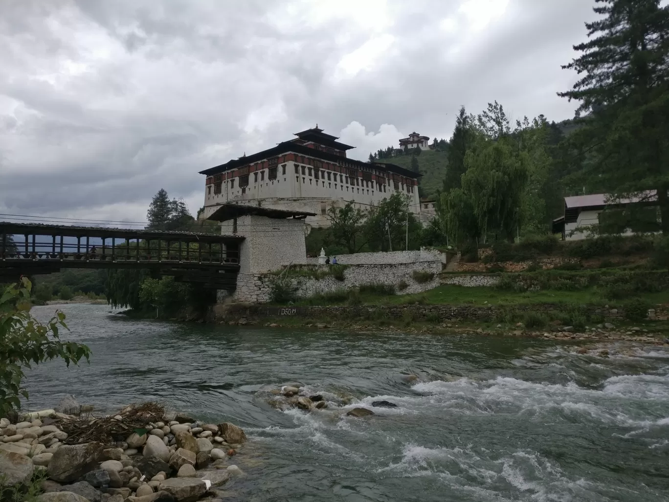 Photo of Paro By Ritika Jain