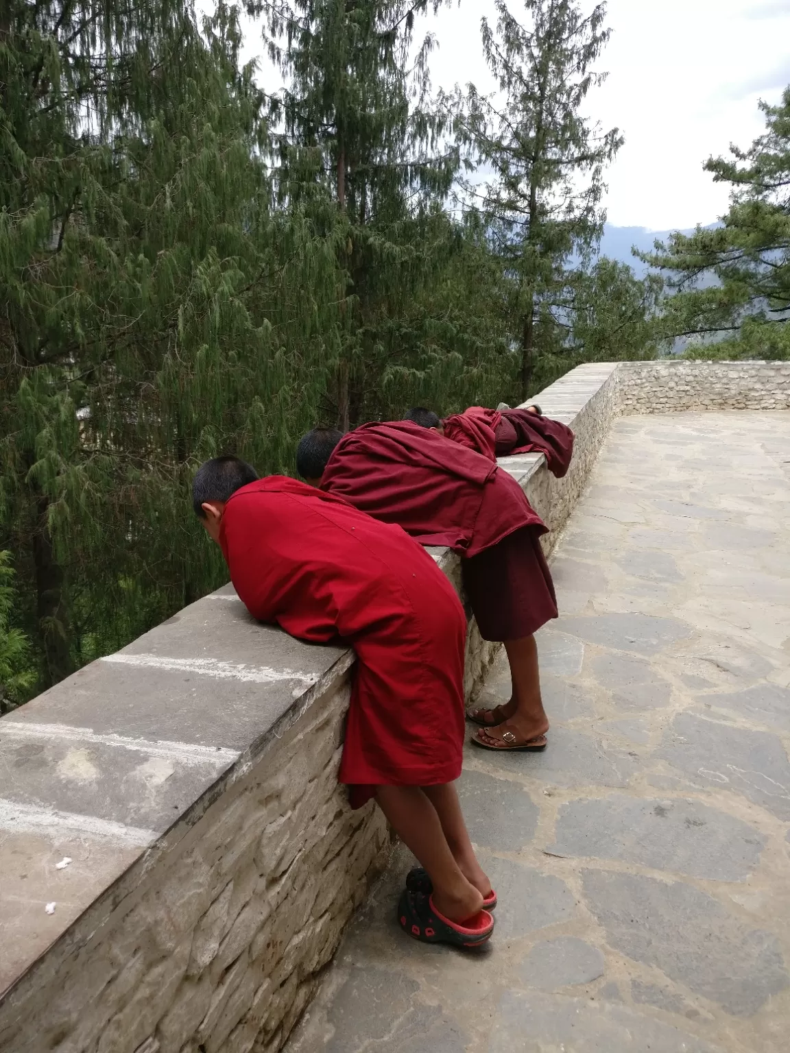Photo of Paro By Ritika Jain