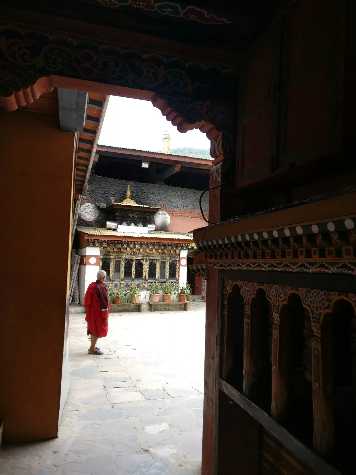 Photo of Paro By Ritika Jain