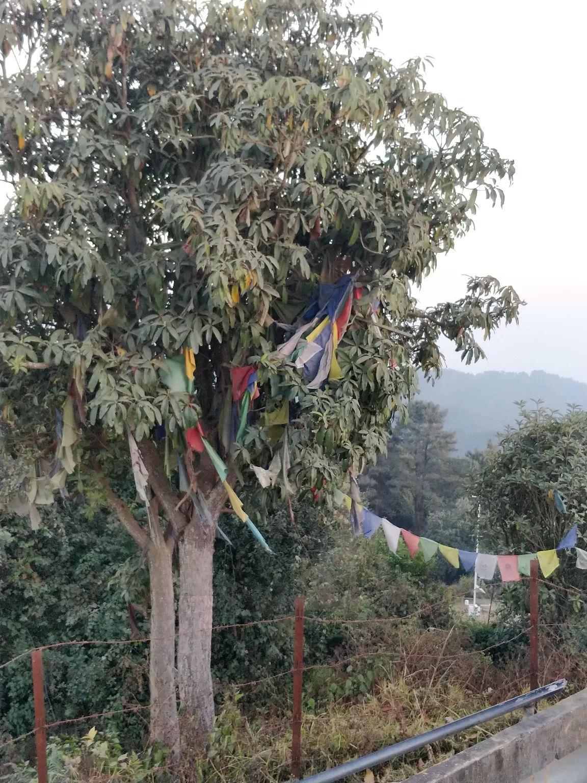 Photo of Nagarkot By Meenakshi Singh