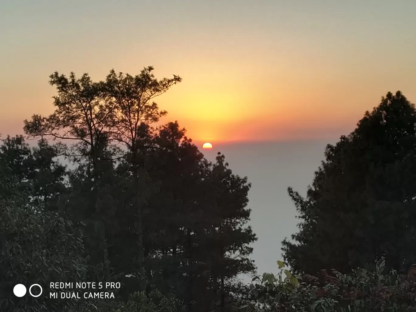 Photo of Nagarkot By Meenakshi Singh