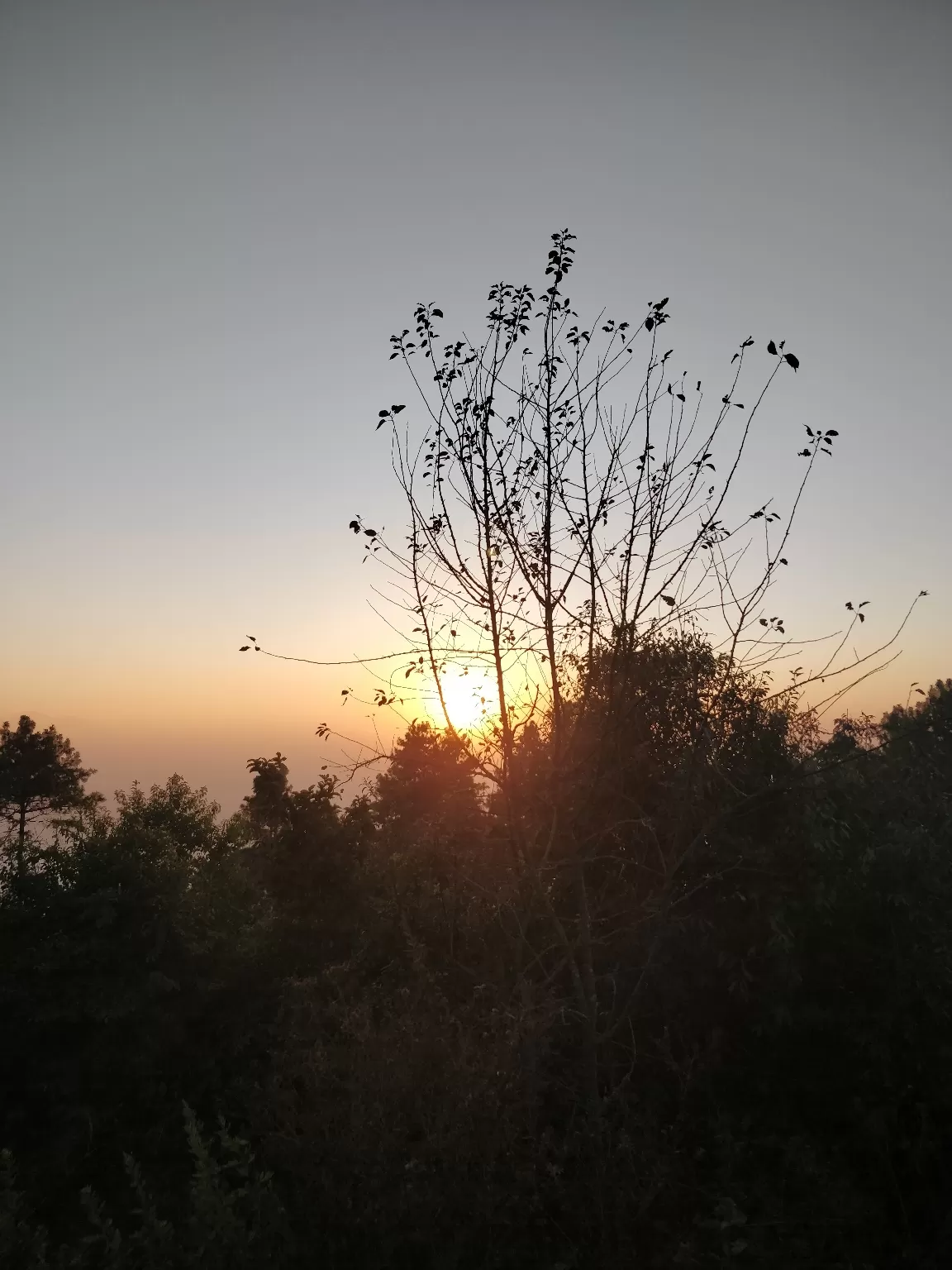 Photo of Nagarkot By Meenakshi Singh