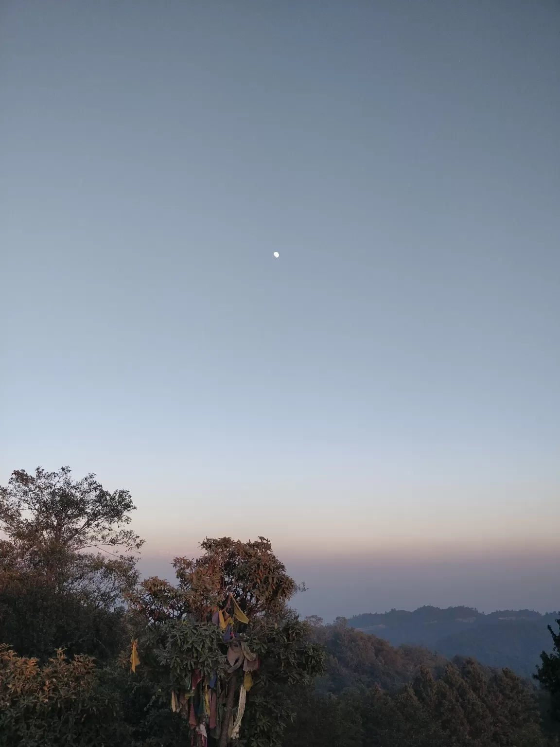 Photo of Nagarkot By Meenakshi Singh