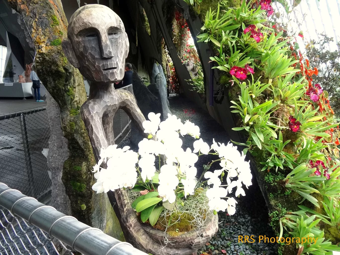 Photo of Garden by the Bay - Orchid Extravaganza By Rachna Sharma