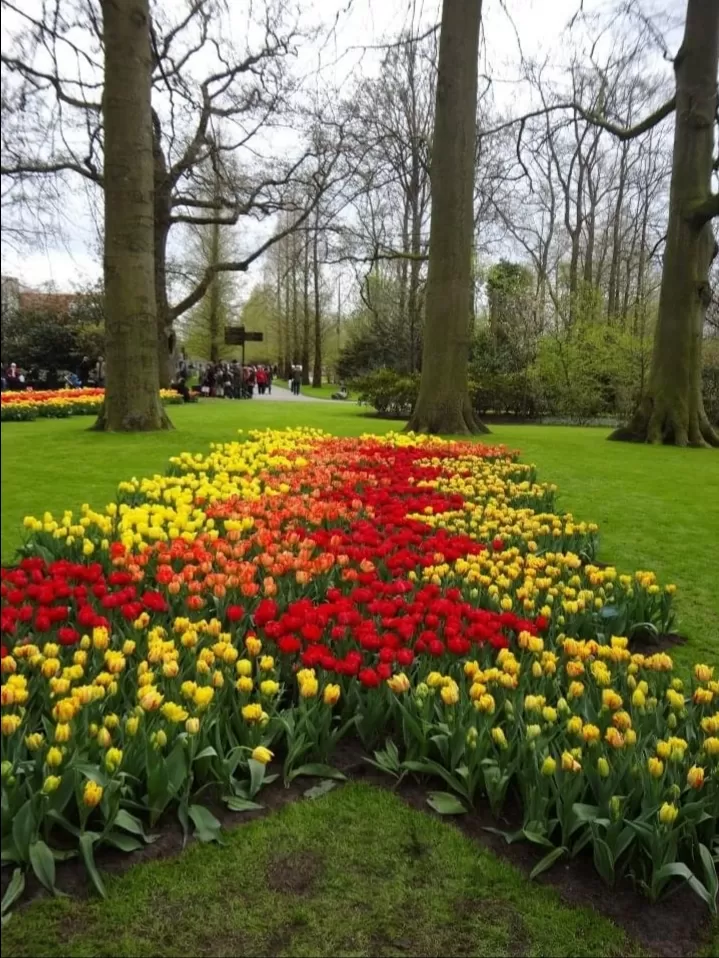 Photo of Keukenhof HOLLAND By Abhishek Inani