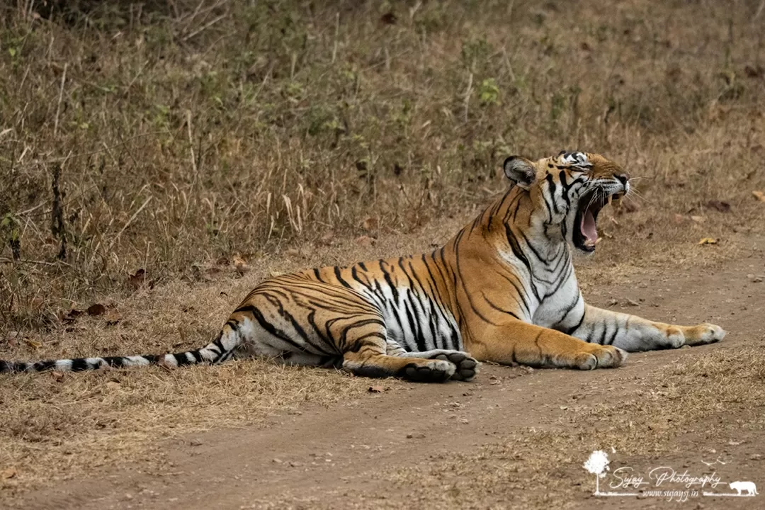 Photo of Nagarhole National Park By Sujay Jamkhandi