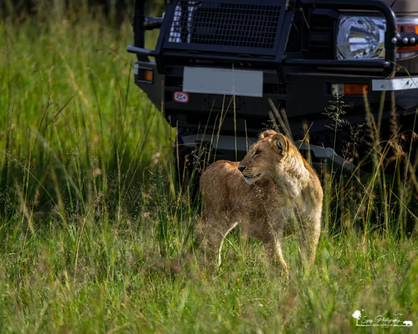 Photo of Masai Mara National Reserve By Sujay Jamkhandi