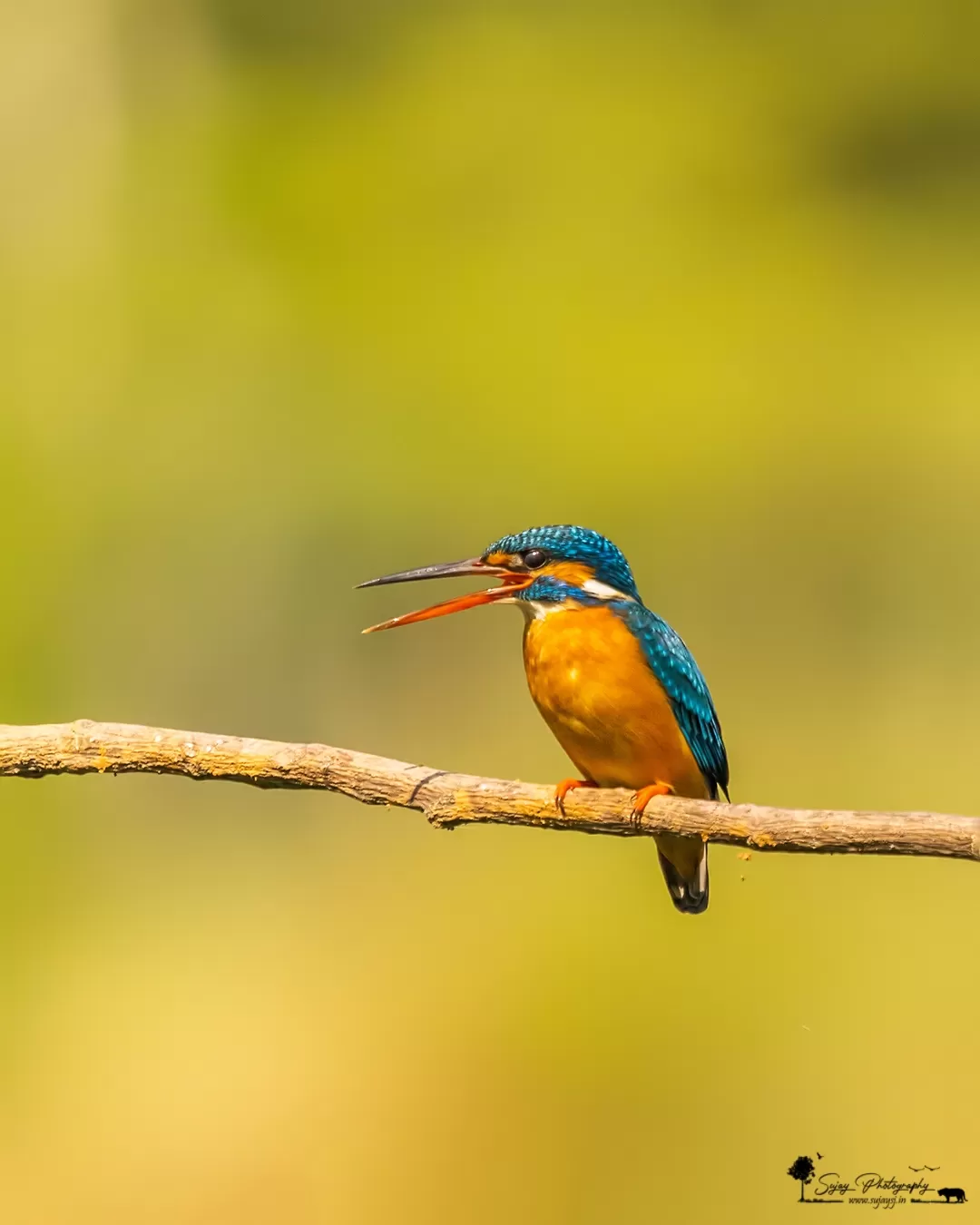 Photo of Kannamangala By Sujay Jamkhandi