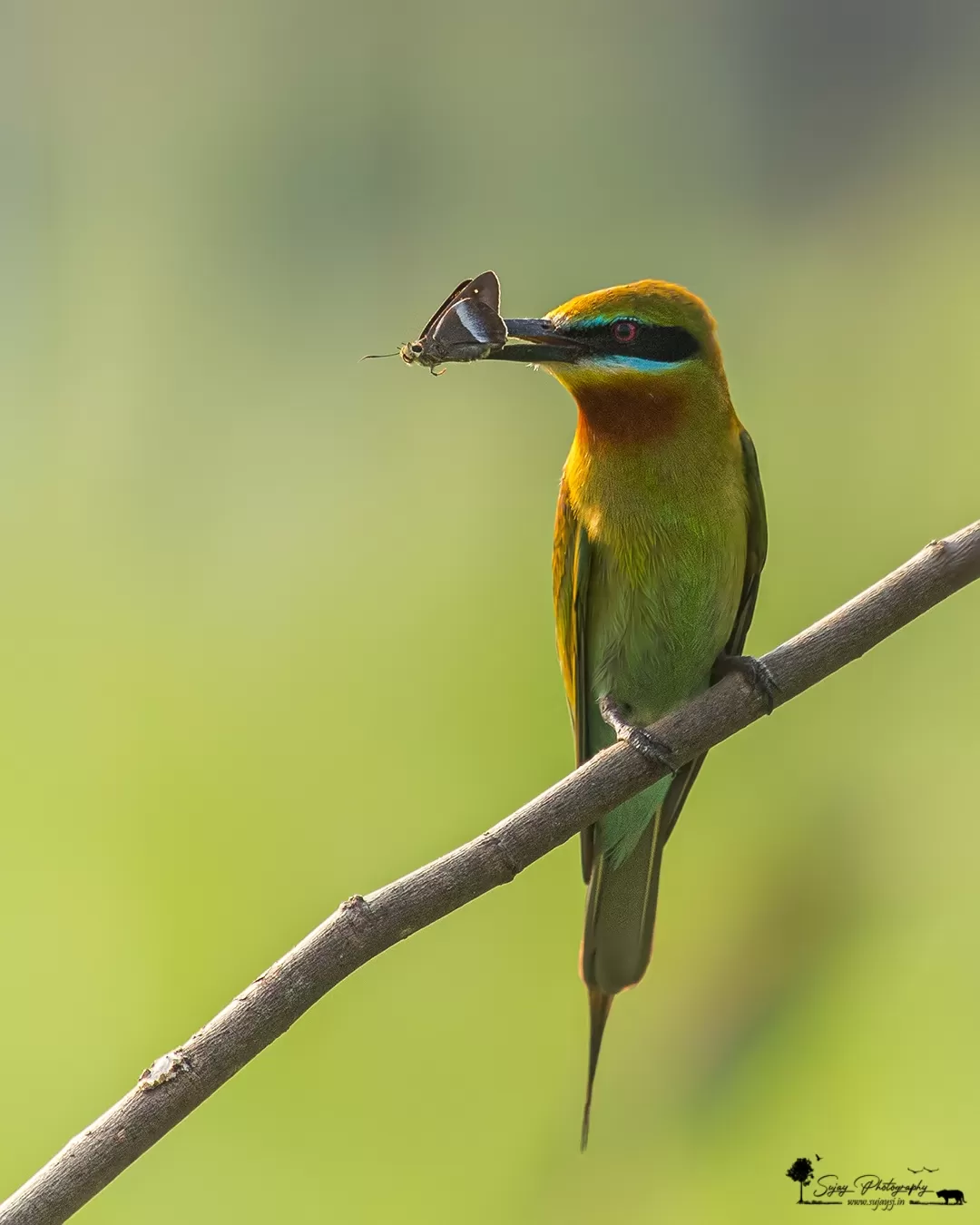 Photo of Karnataka By Sujay Jamkhandi