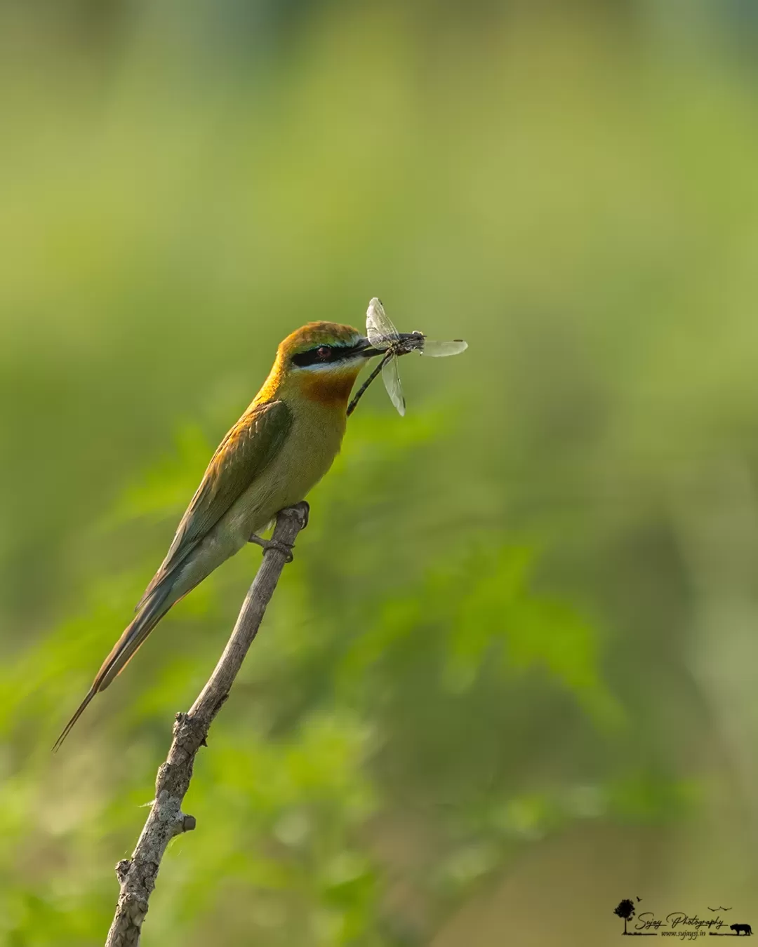 Photo of Karnataka By Sujay Jamkhandi