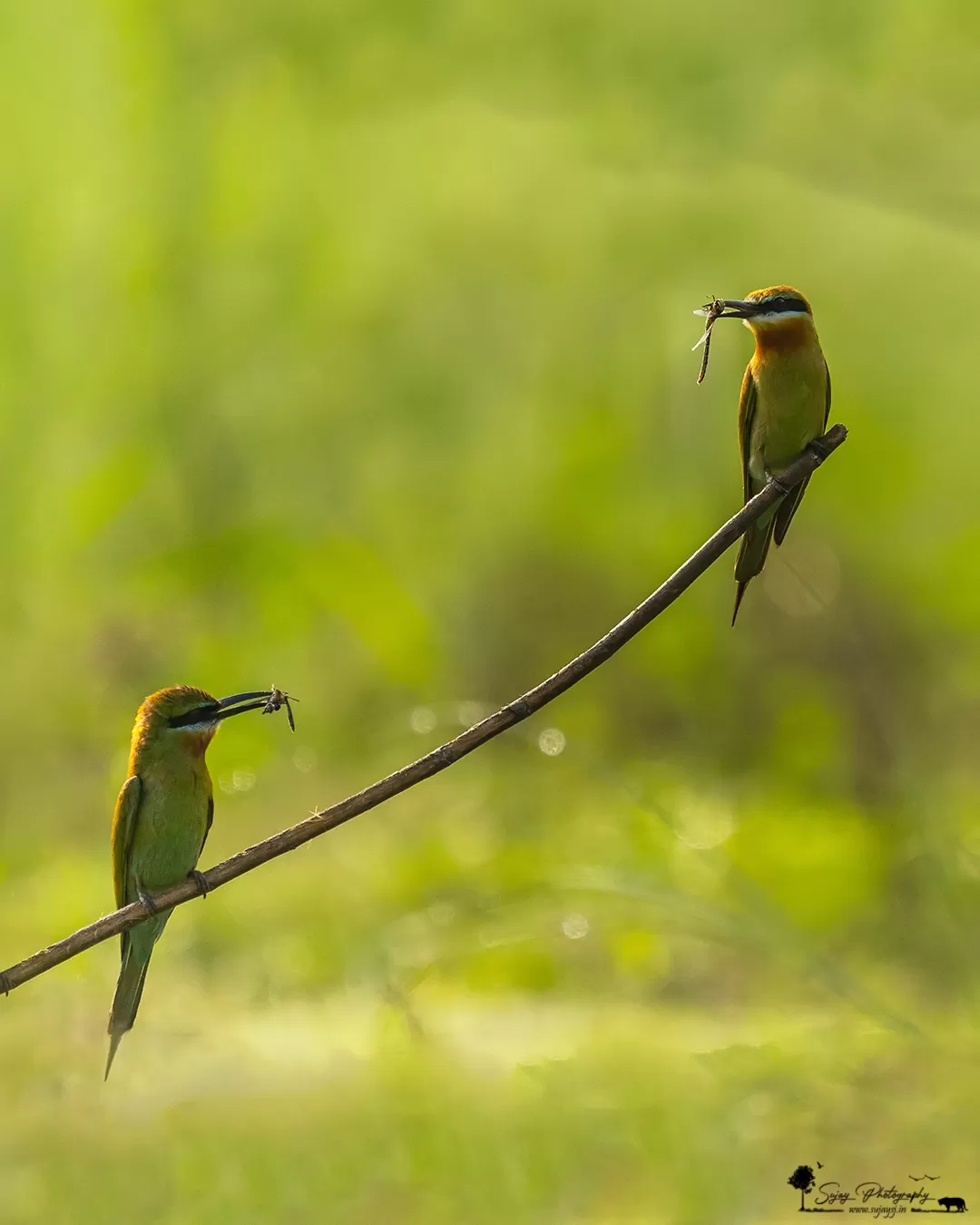 Photo of Karnataka By Sujay Jamkhandi