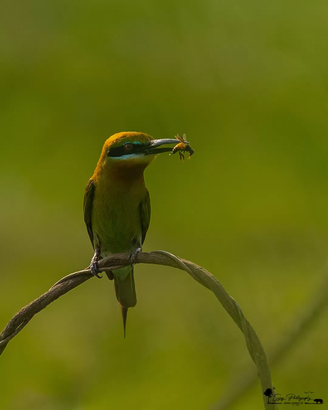 Photo of Karnataka By Sujay Jamkhandi