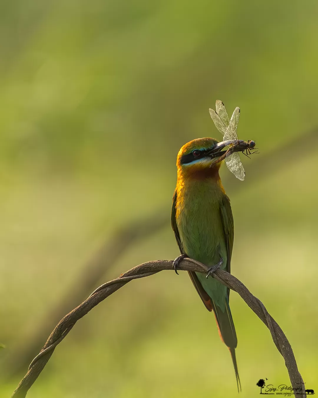 Photo of Karnataka By Sujay Jamkhandi