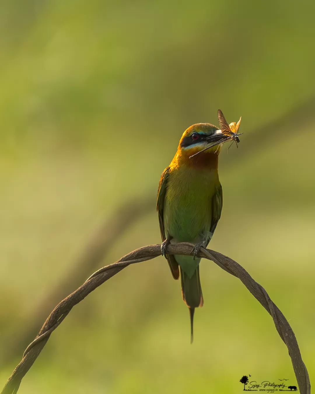 Photo of Karnataka By Sujay Jamkhandi