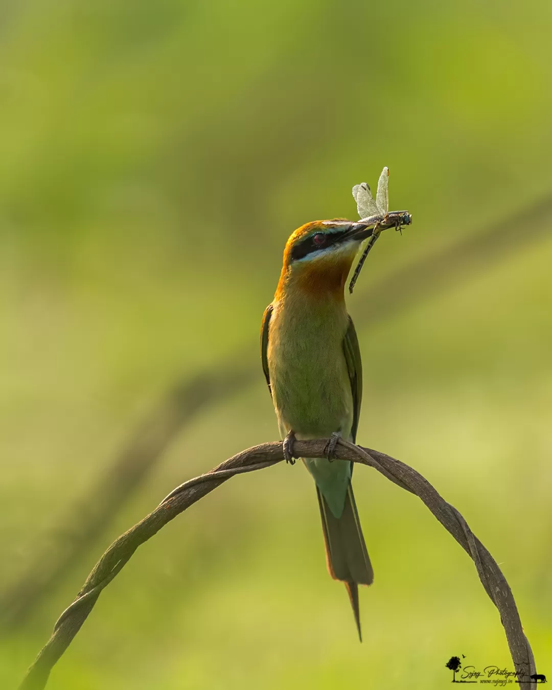 Photo of Karnataka By Sujay Jamkhandi