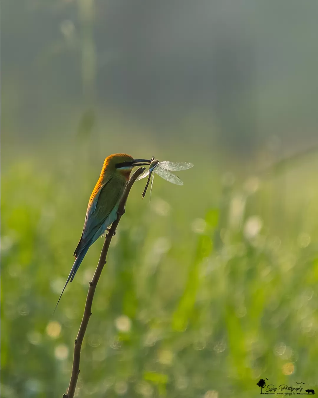 Photo of Karnataka By Sujay Jamkhandi