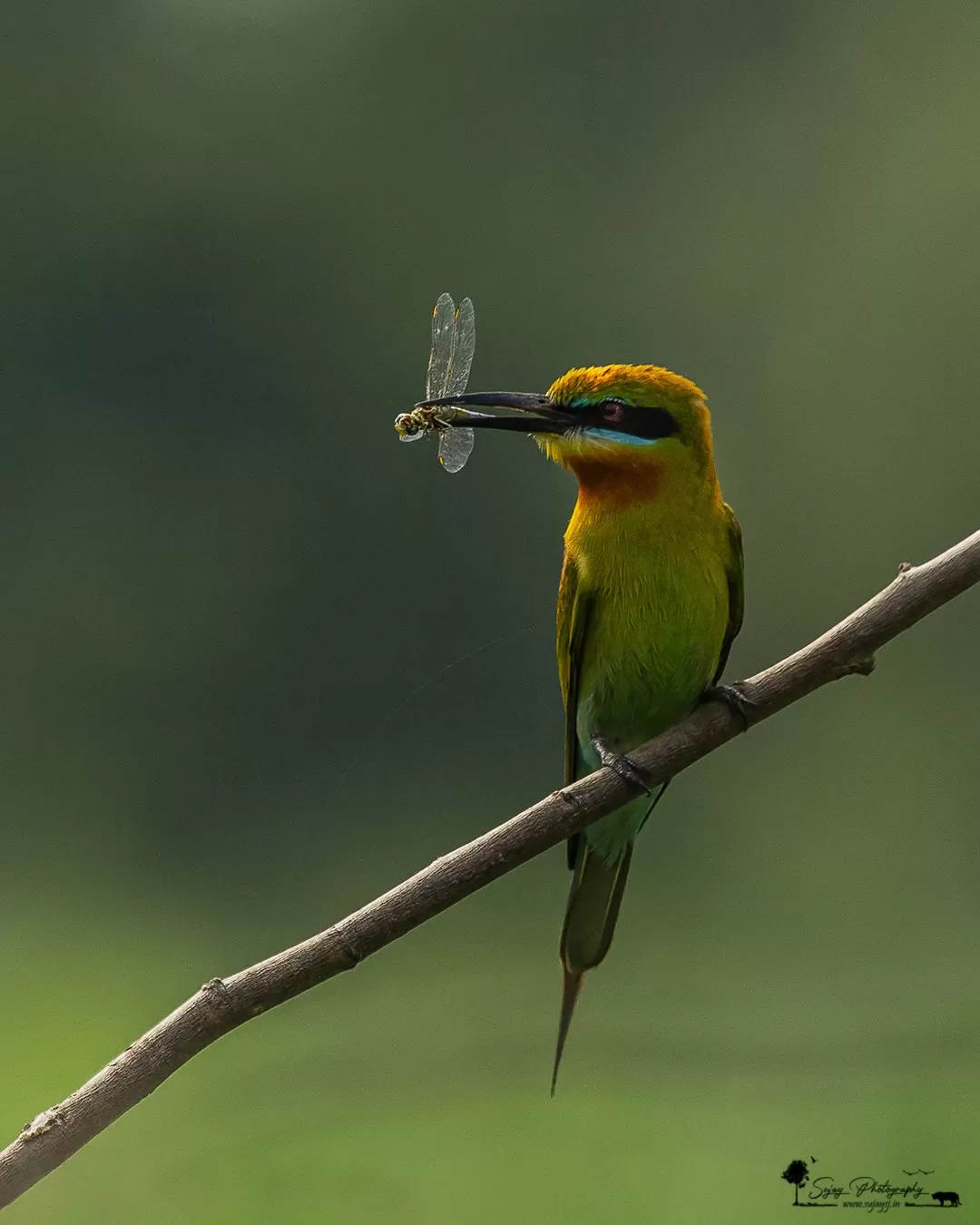 Photo of Karnataka By Sujay Jamkhandi