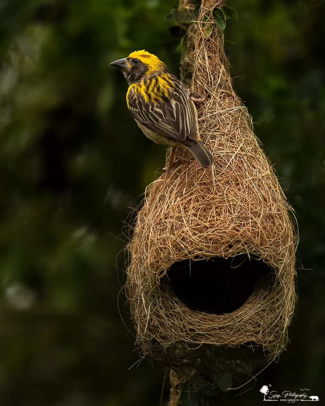 Photo of Anekal By Sujay Jamkhandi