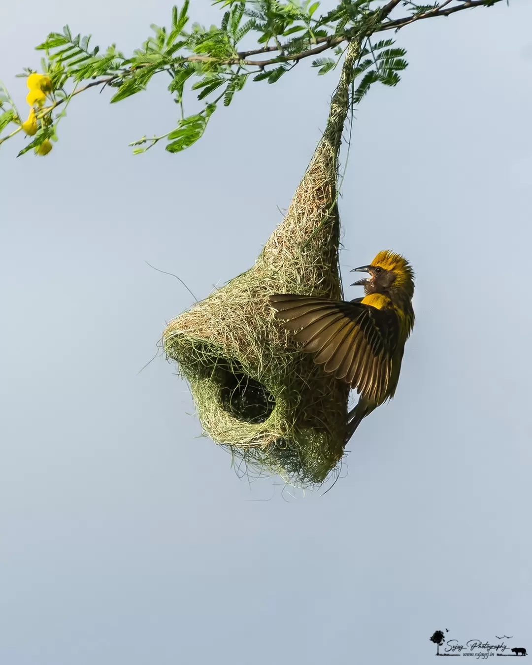 Photo of Anekal By Sujay Jamkhandi