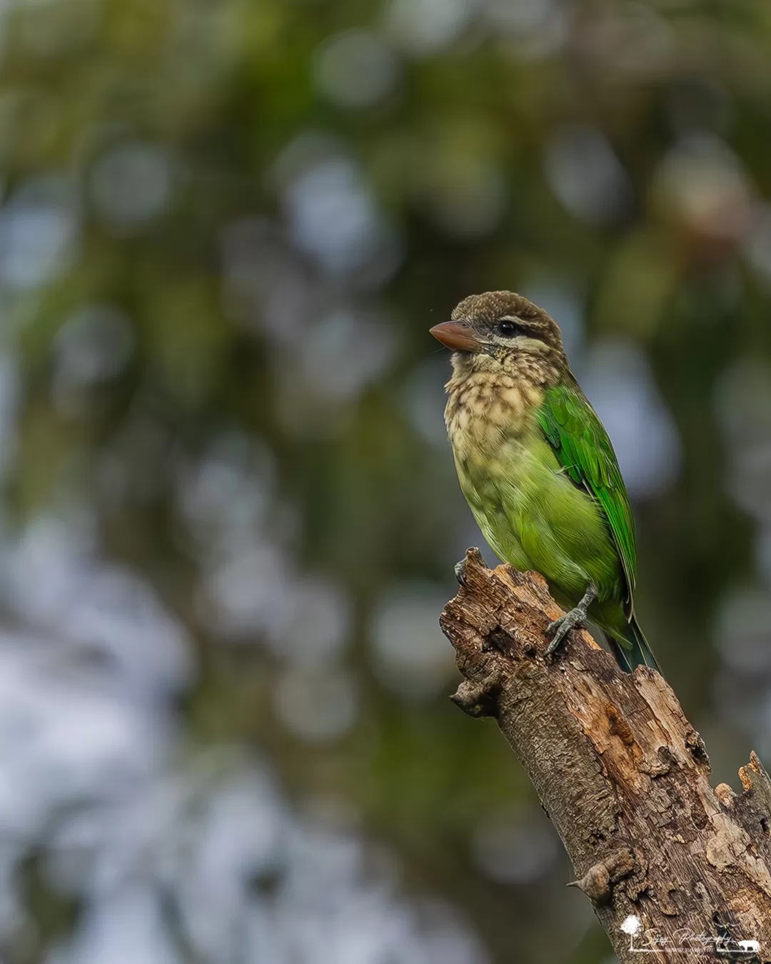 Photo of Muthanallur Lake By Sujay Jamkhandi