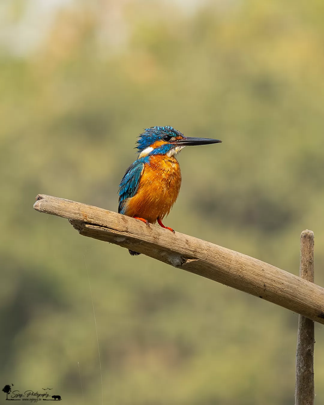 Photo of Bengaluru By Sujay Jamkhandi