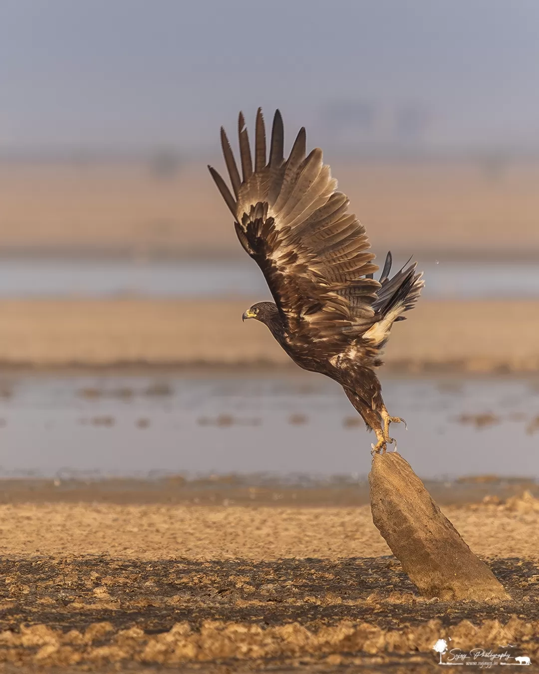 Photo of Little Rann of Kutch By Sujay Jamkhandi