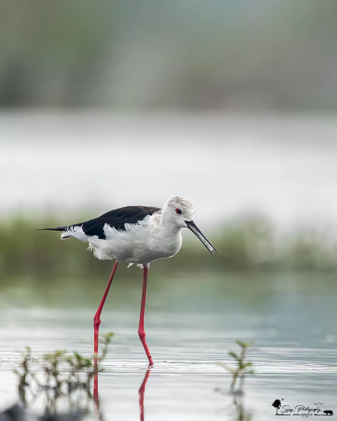 Photo of Anekal By Sujay Jamkhandi