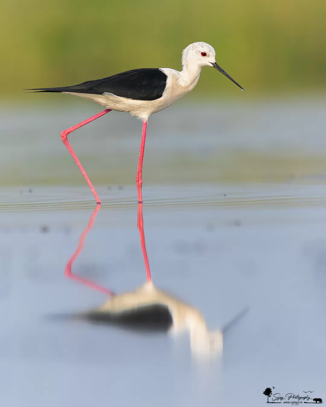 Photo of Anekal By Sujay Jamkhandi