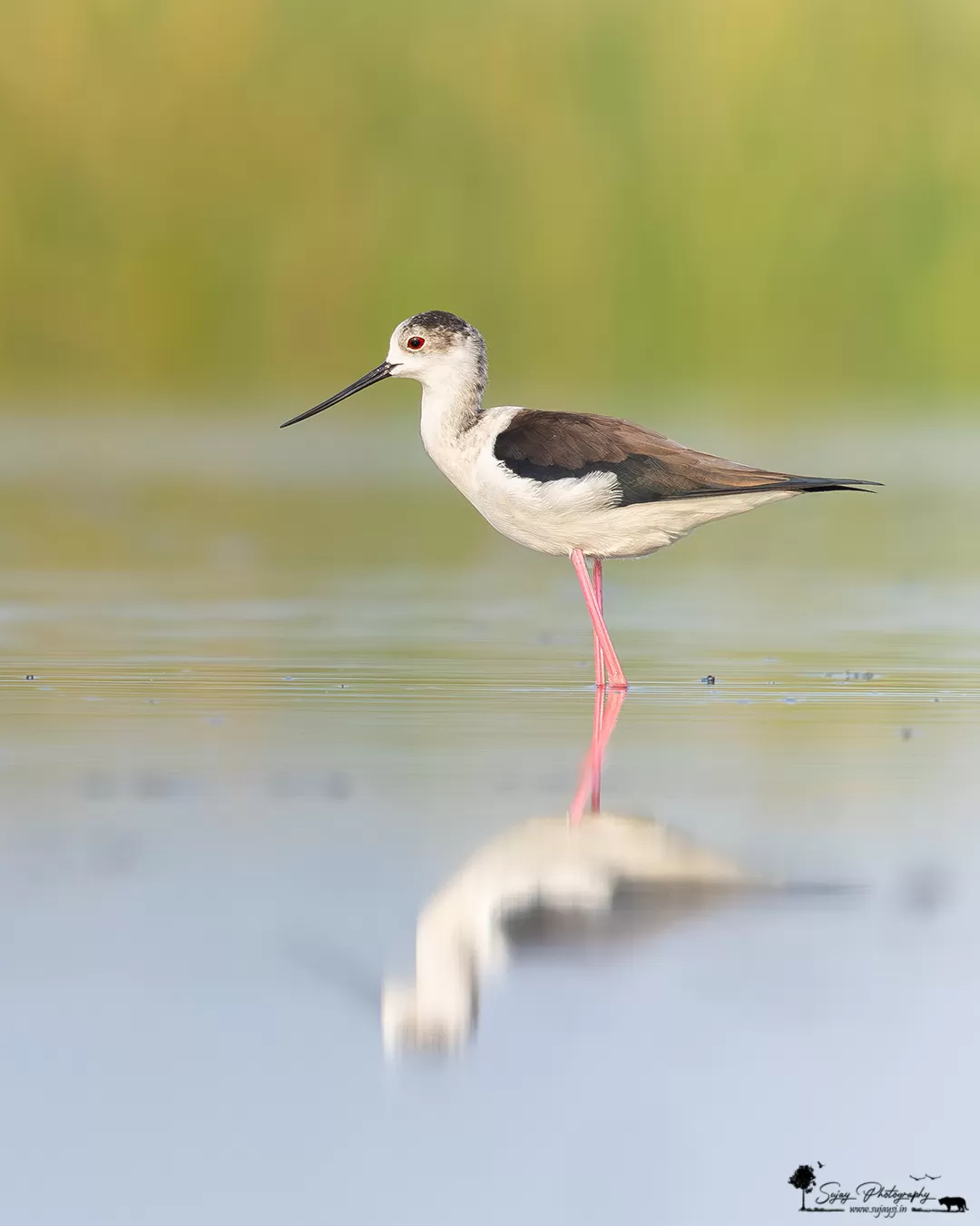 Photo of Anekal By Sujay Jamkhandi