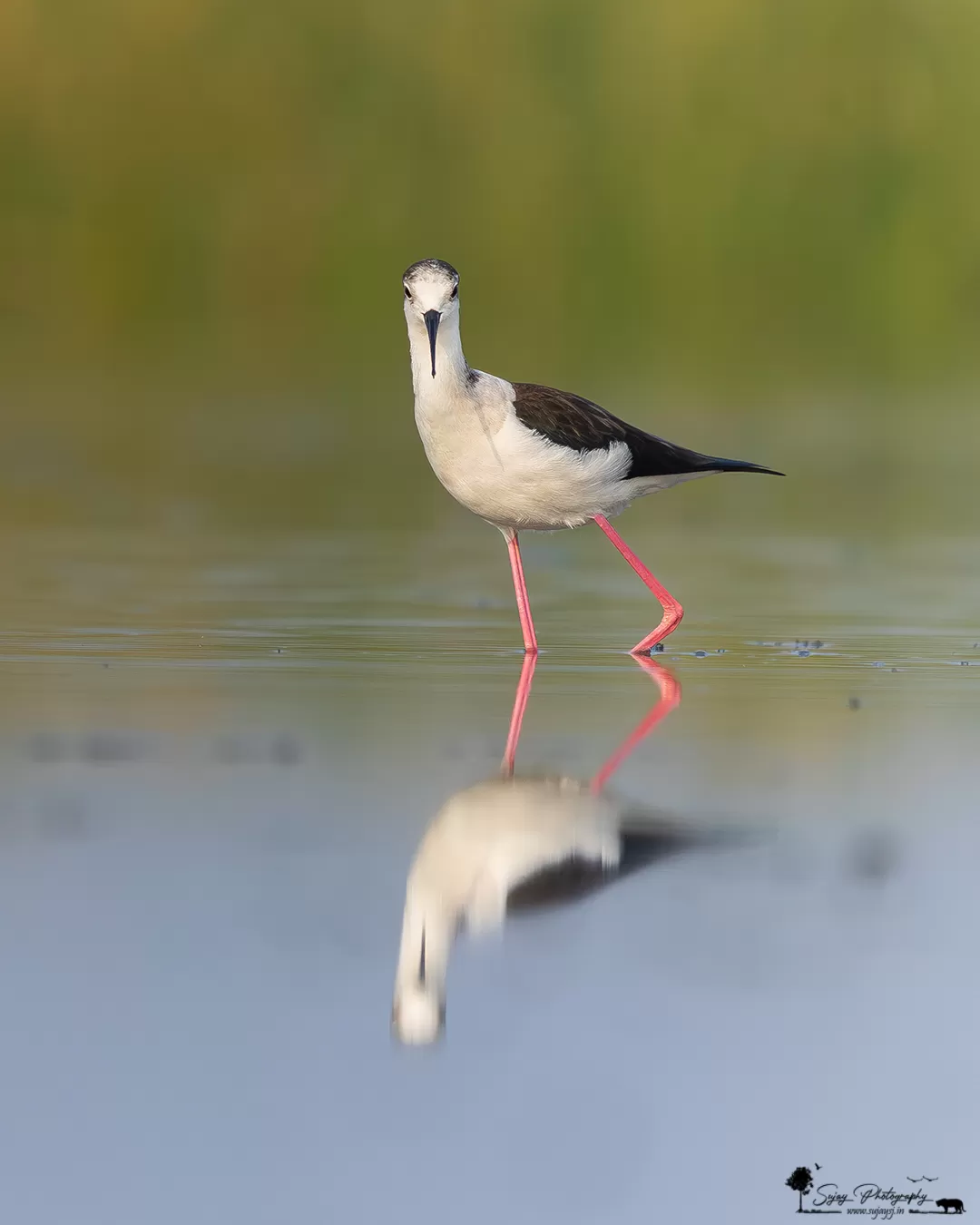 Photo of Anekal By Sujay Jamkhandi