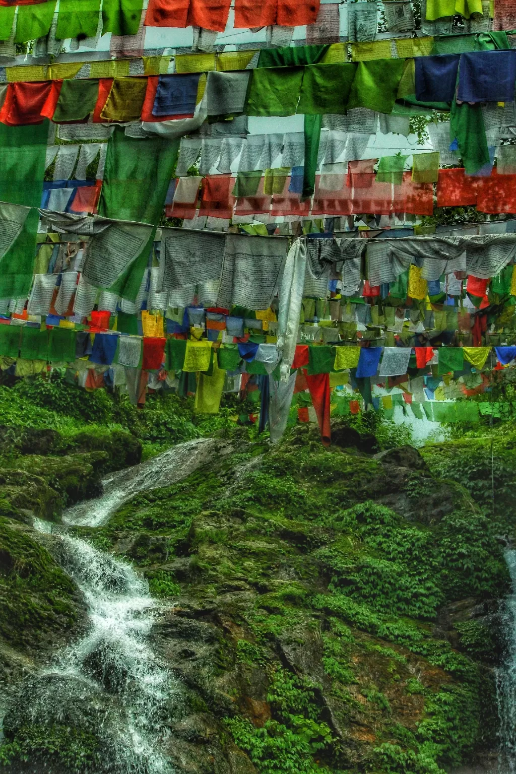 Photo of Sikkim By Ruchira