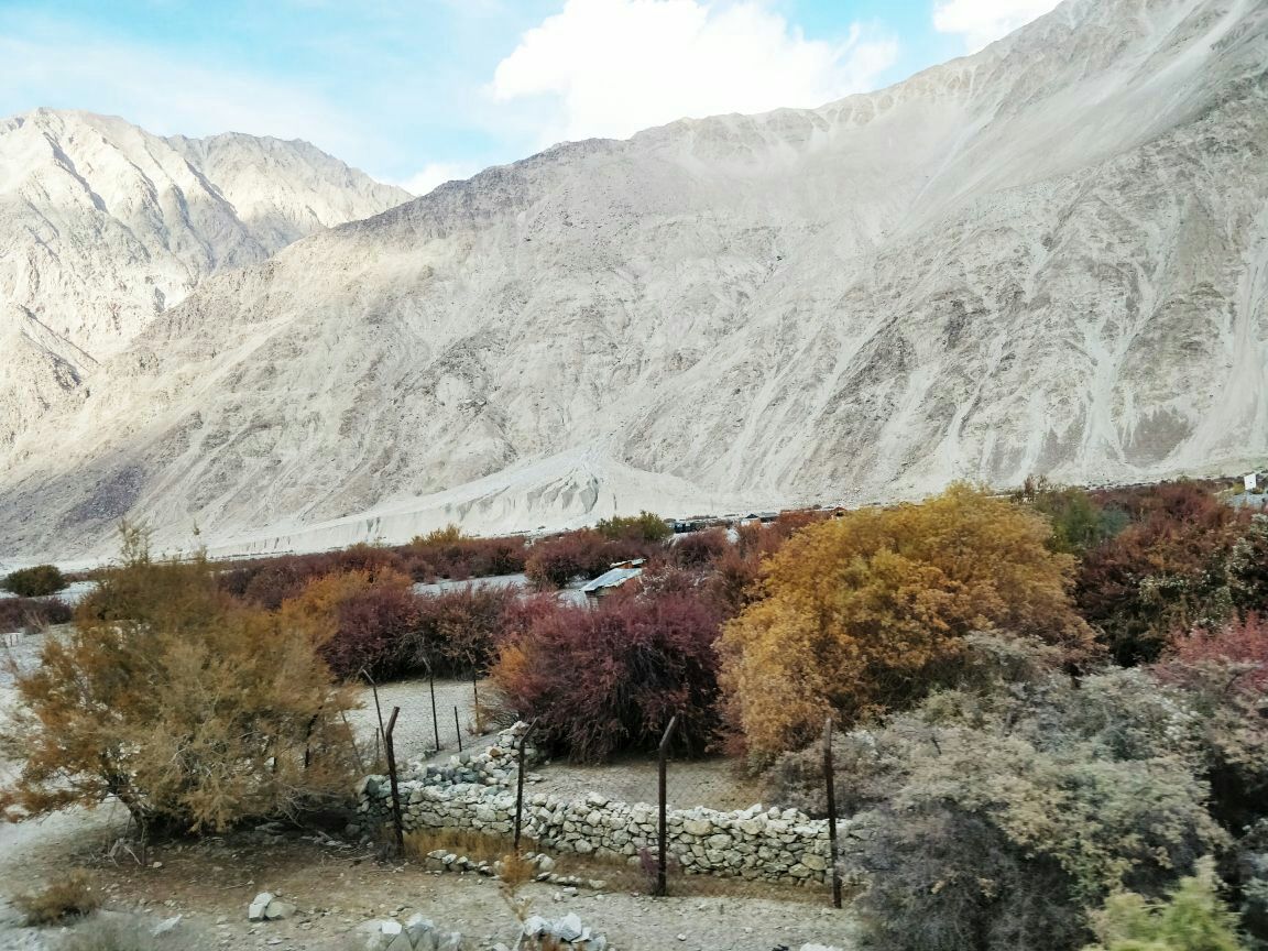 Photo of Ladakh Diaries! By Nivedita Bhosekar
