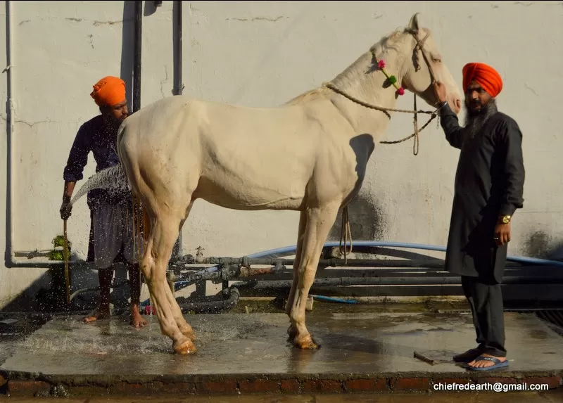 Photo of Paonta Sahib By Chief RedEarth