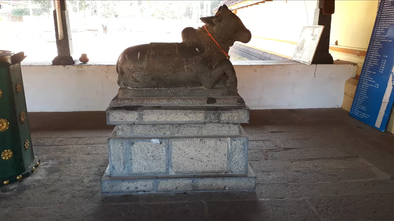 Photo of Kaduthuruthy Thaliyil Mahadeva Temple By Chief RedEarth