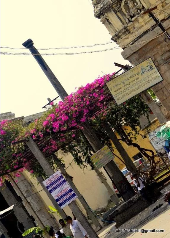 Photo of Sri Rama Aprameya Swamy Temple By Chief RedEarth